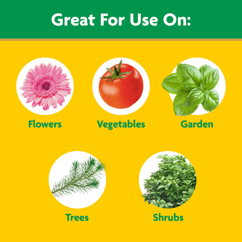 Miracle-Gro® Water Soluble All Purpose Plant Food and Garden Feeder Bundle image number null